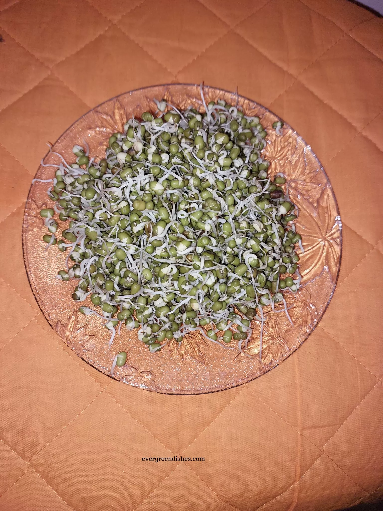How to make sprouts
