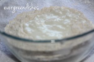 yoghurt