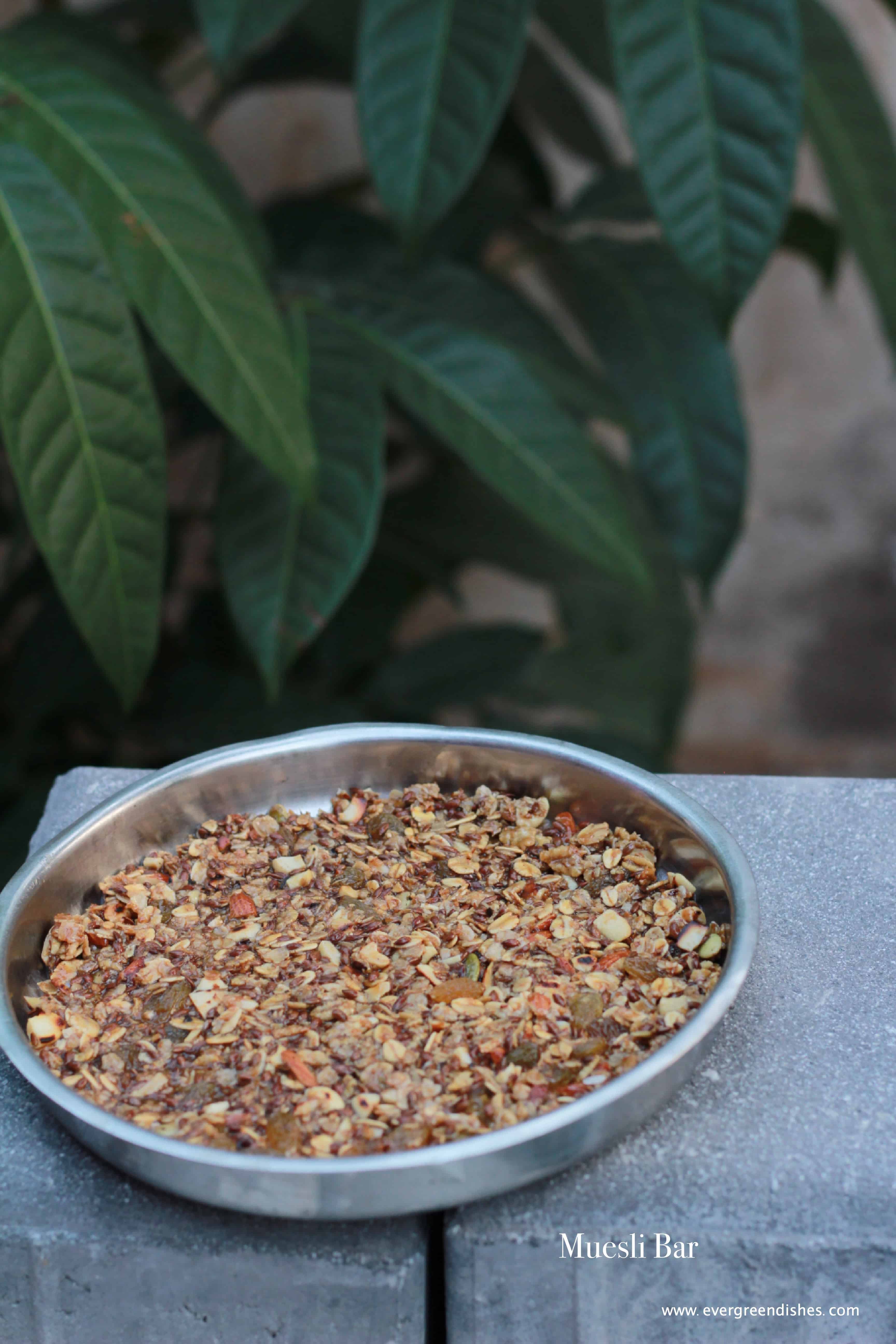 Homemade Muesli Bars with Zerobeli